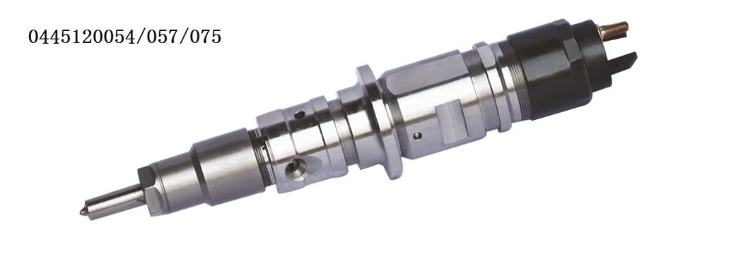 0445120129/221 Bosch Injector for Common Rail System China Made
