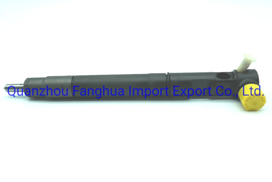 A6710170121 Fuel Injectors Delphi 1p for Ssangyong Korando C