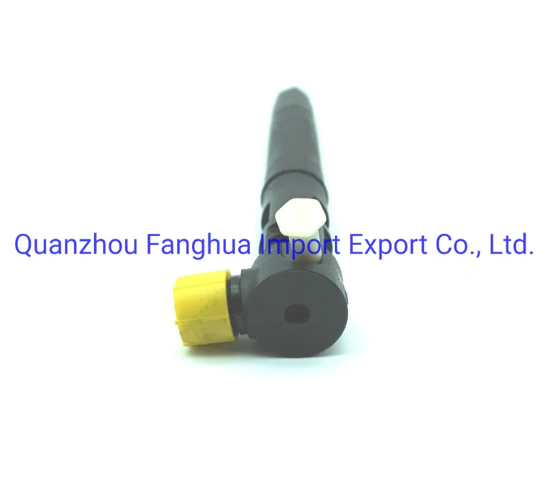 A6710170121 Fuel Injectors Delphi 1p for Ssangyong Korando C