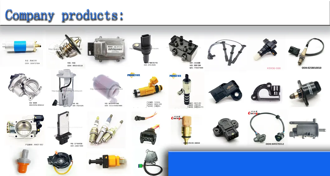 Applicable to Rongwei 750 Main Pump Fuel Pump Assembly, OEM: 10026505/Foir00s084. Fuel Pump Assembly