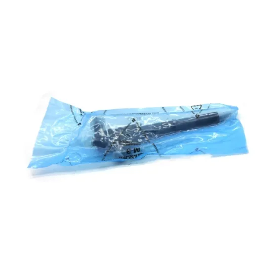 Auto Parts Diesel Nozzle Common Rail Fuel Injector for Bos-CH 0445 120 074