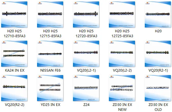 Auto Spare Parts Camshaft for Nissan Zd30 in/Ex 13001-2W201 13001-dB000 H25/Ka24/Ld20/Ld23/Na20/Pd6/PE6/PF6t/Rd28/Rd28ti