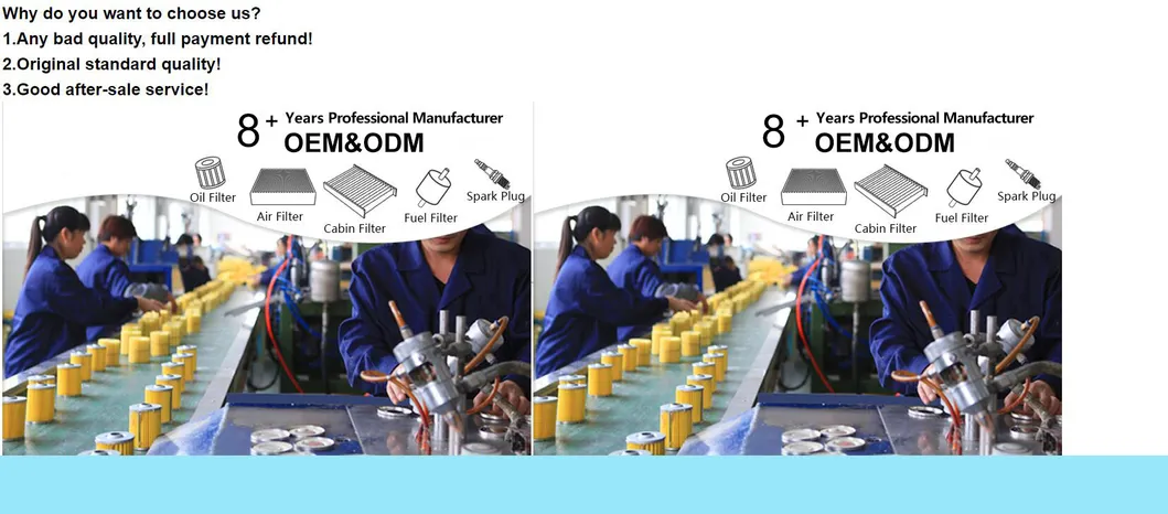 Auto Spare Parts Car Ignition Iridium Spark Plug 12 12 0 037 582 for BMW X5 Pk16pr11