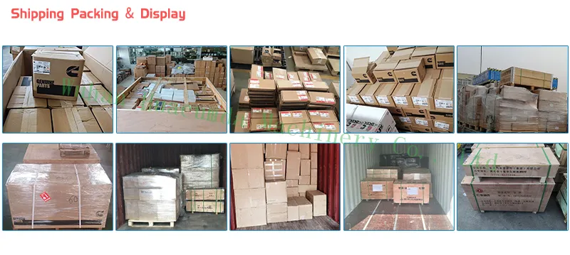 Ccec Cummins Construction Machinery Nt855-M Engine Parts Piston 3076817/3076811/3076809