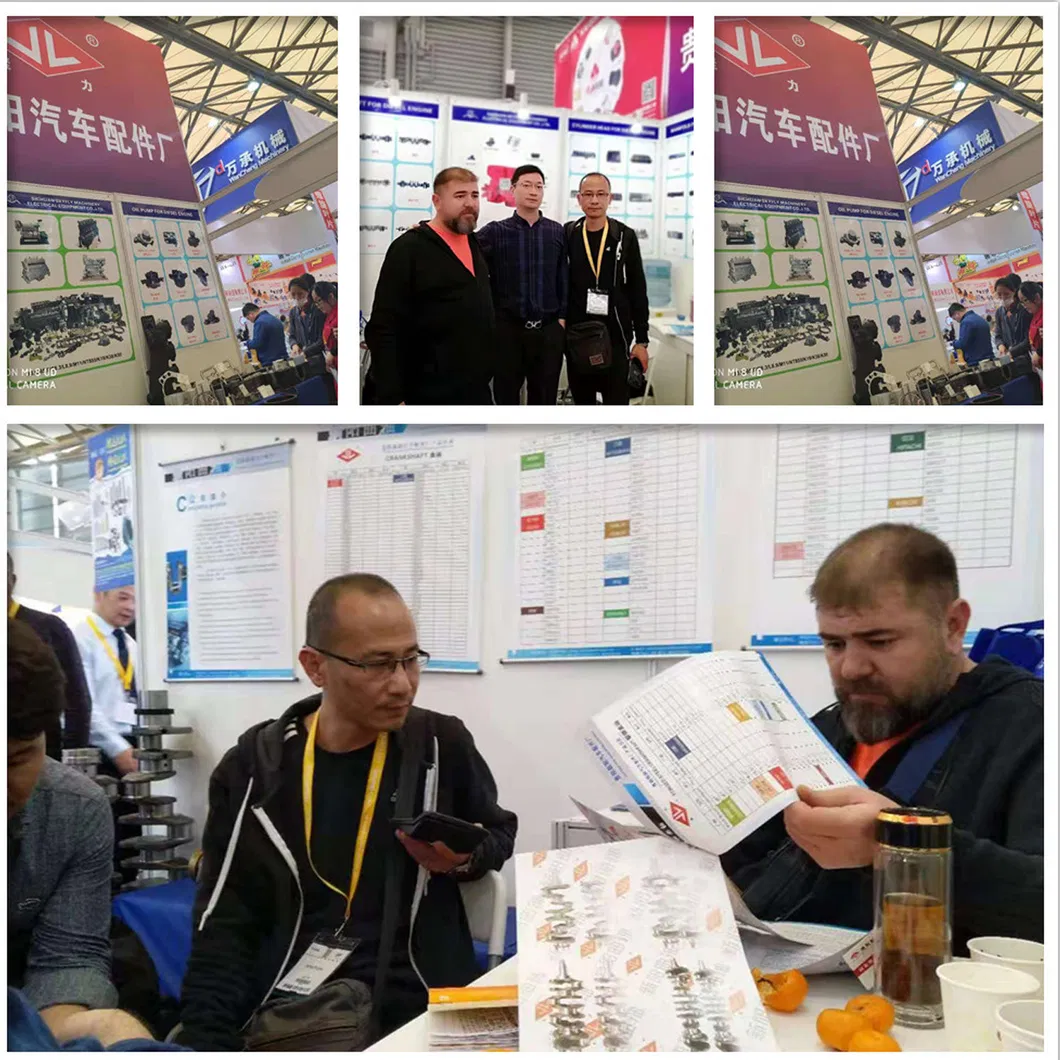 Custome Auto Small Forged or Casting Engine Crankshaft for Isuzu 4bg1 Crank Shaft