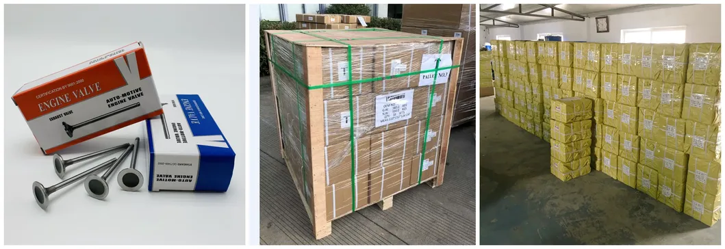 Engine Valve Intake Exhaust Valve 0948A9 0948. A9 for Tu5jp4