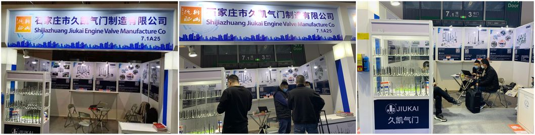 Engine Valve Intake Exhaust Valve 1371564040 13715-64040 for Avensis 2.0 Td Picnic 2.2 Td Corolla 2.0 D 2c-Te 3c-Te