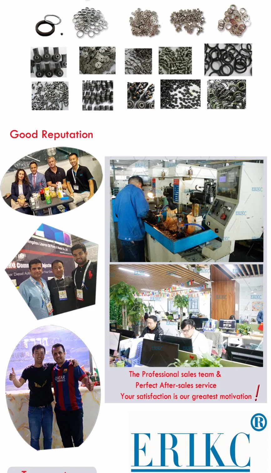 Erikc Dlla155p863 Denso Fuel Injection Pump Nozzle 934008630 Common Rail Injector Repair Nozzle Dlla 155 P 863 for Toyota 095000-592# 095000-865# 095000-829#