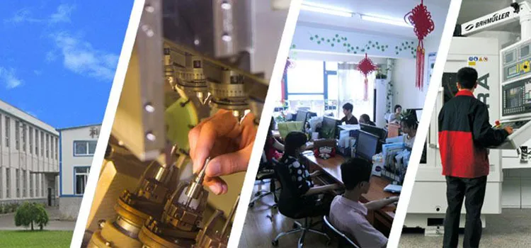 Erikc Ejb R01302z Delphi Euro 3 Common Rail Fuel Injection System Ejbr0 1302z Injection Pump Ejbr01302z for Ford