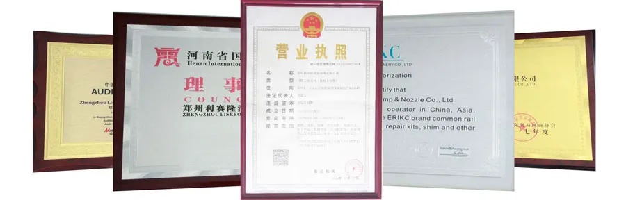 Erikc Ejbr0 3501d Common Rail Injector Ejb R03501d Diesel Engines Injection Ejbr03501d 253 401 160 119 for Tata (TELCO)