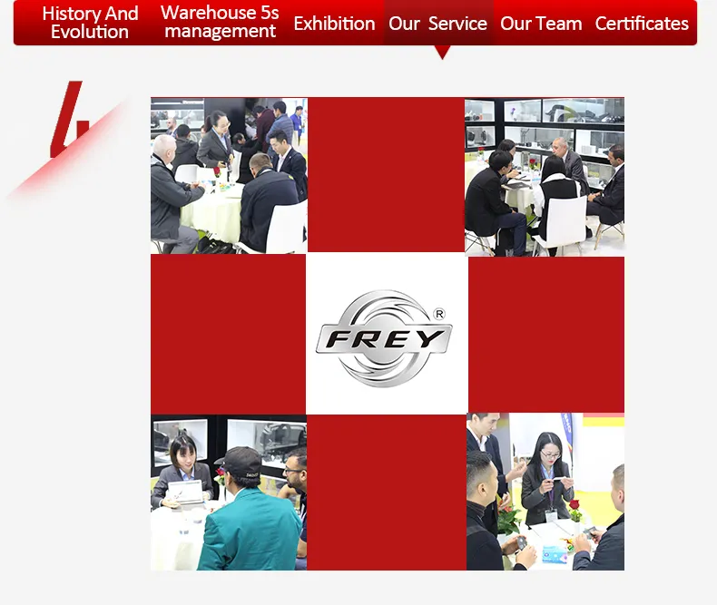 Frey Auto Parts Fuel Injector Seal 0139979145 for M271 W204 W211 W212 W203