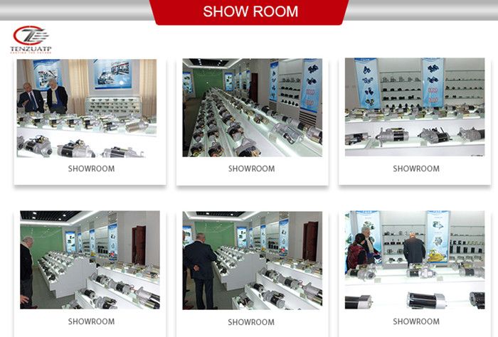 Fuel Injector for Holden Commodore Cadillac Cts/Srx/Sts 0280156131 020156131 12571159