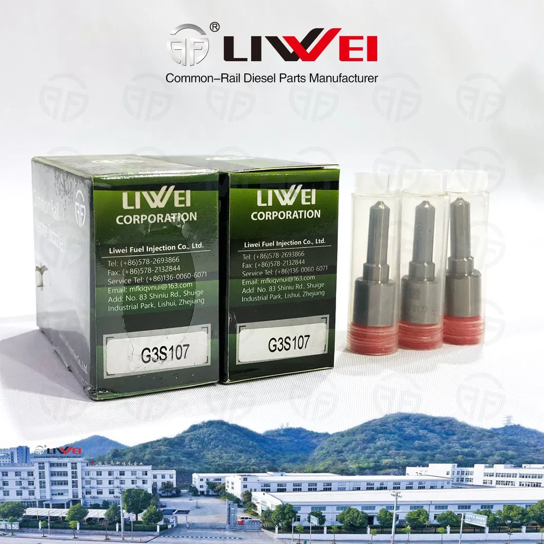 Liwei Common Rail Diesel Injector Nozzle G3s107 for Kubota