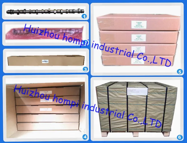 Spare Parts Camshaft for Isuzu 4zd1 894215-1890 8941367840 8pd1/8PE1/10PC1/10pd1/6bb1/6bd1/6bd1t/6bg1/6QA1/6rb1/E120/6SD1/6SA1/6he1/6hh1/6HK1/G161z/G180