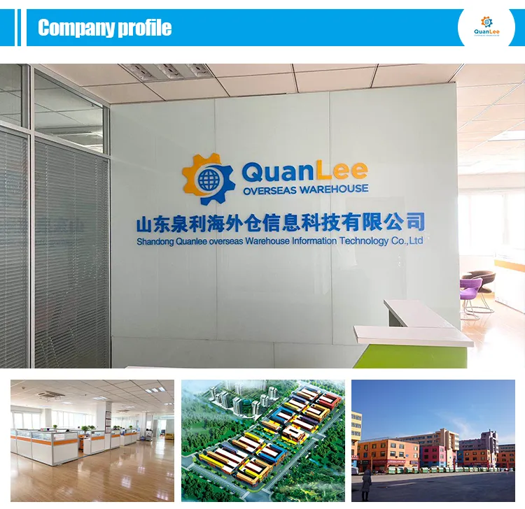 Turbo Turbocharger Foton 1069 1093 Euro3 T64801017 for Engine Light Truck Timely Supply