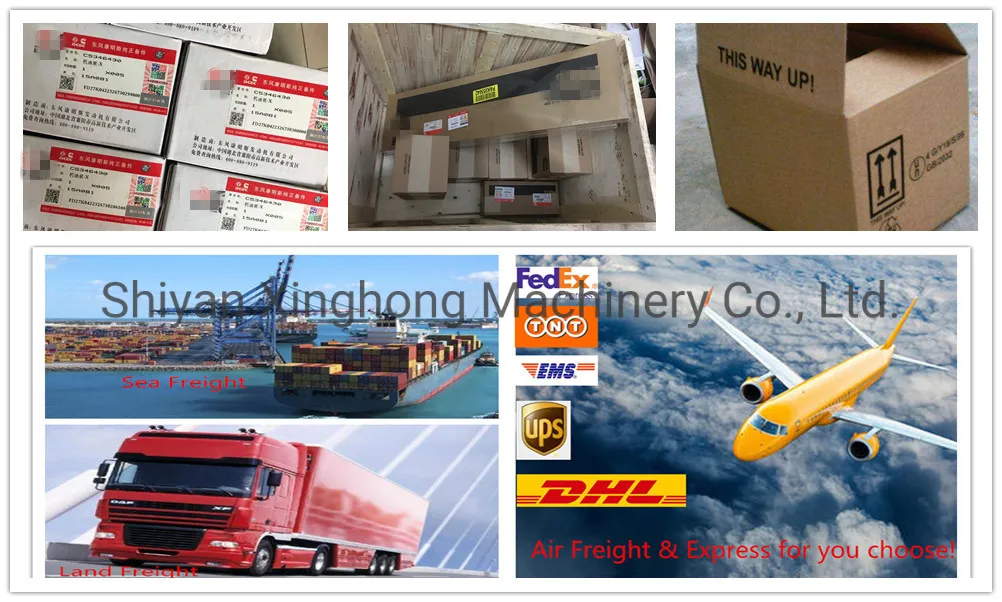 Xcec ISM11/Qsm11/M11 Diesel Engine Parts Piston Kit 4059898 4059897